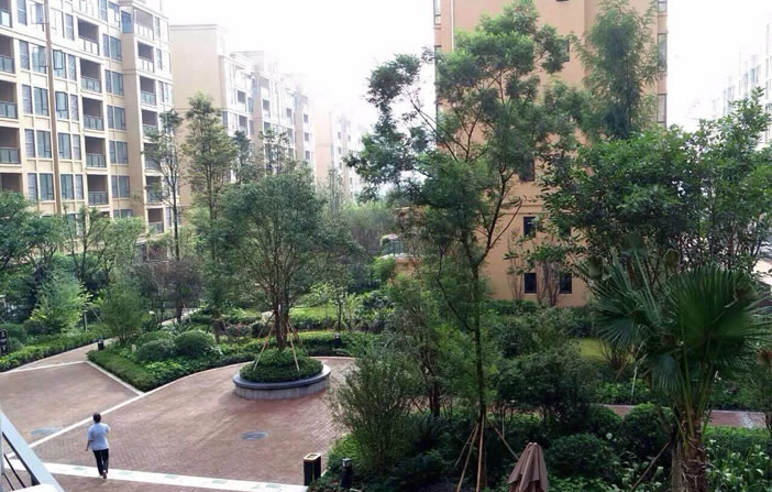彩虹多多官网-追求健康,你我一起成长