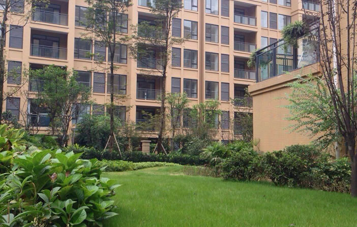 彩虹多多官网-追求健康,你我一起成长