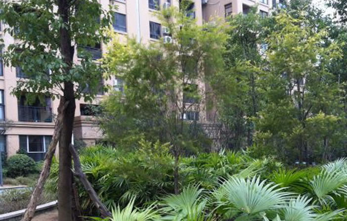 彩虹多多官网-追求健康,你我一起成长