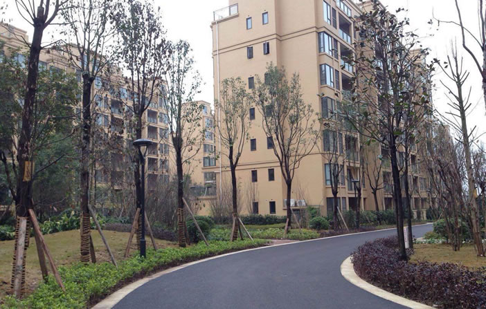 彩虹多多官网-追求健康,你我一起成长
