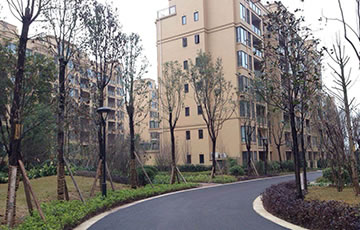 彩虹多多官网-追求健康,你我一起成长